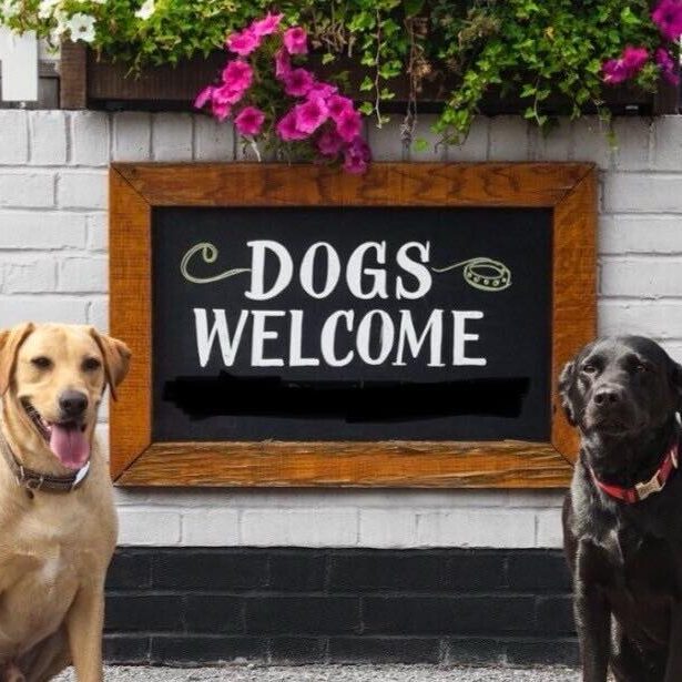 Dogs